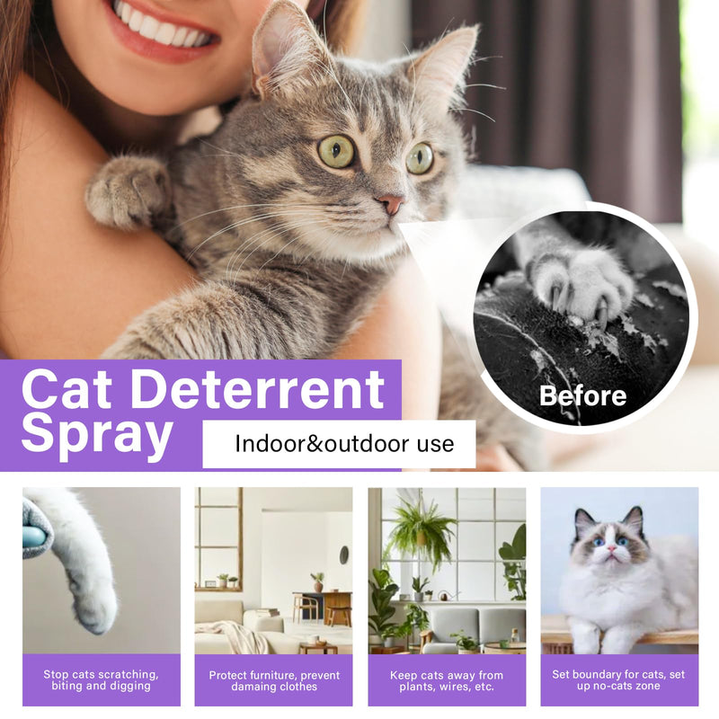 Cat Deterrent Outdoor&Indoor, Cat Deterrent Spray, Cat Repellent Outdoor to Keep Cats Away, Cat Repellent Spray for Furniture, Prevent Scratching, Digging&Biting, Nontoxic purple - BeesActive Australia