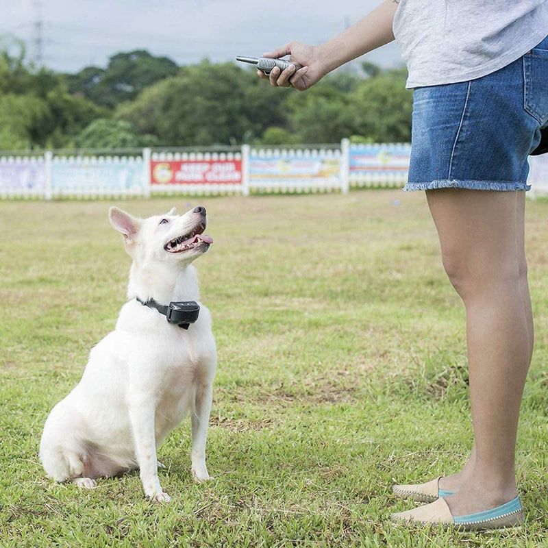 Pet Union PT0Z1 Premium Training Shock Collar for Dogs with Remote - Fully Waterproof, 4 Adjustable Training Modes - Shock, Vibration, Beep - Up to 1200ft Range Light Gray - BeesActive Australia