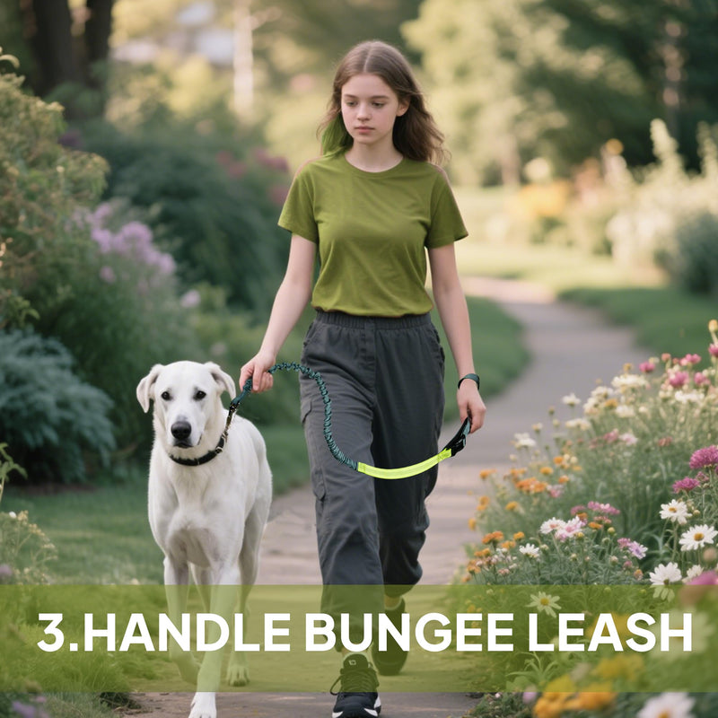 Hands Free Dog Leash with Zipper Pouch, Waist Leash for Dog Walking, Running and Hiking, Adjustable Belt with Handle, Reflective Bungee Design for Large & Medium Dogs Yellow