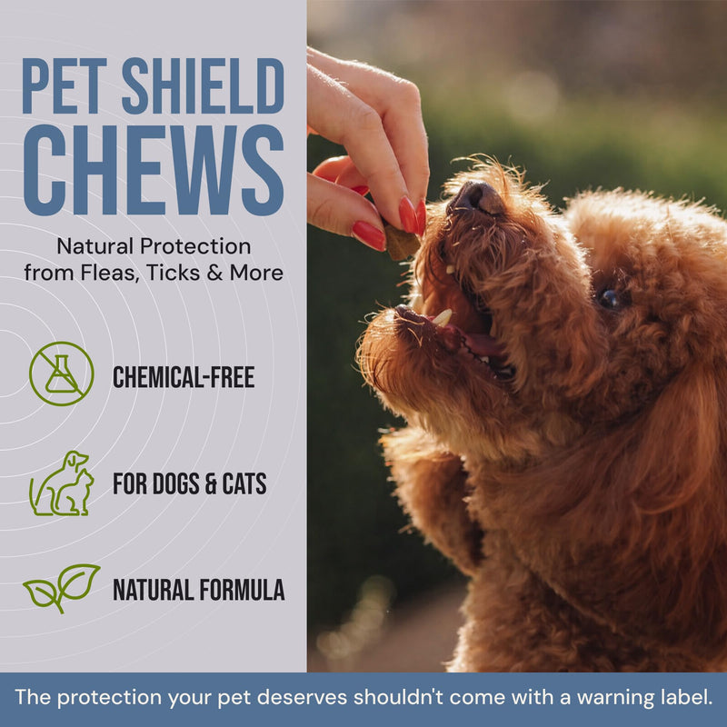 Shield Chews - Natural Flea & Tick Prevention for Dogs & Cats - Chemical-Free Chewable Supplement, Brewer’s Yeast & Garlic Formula - 240 Soft Chews