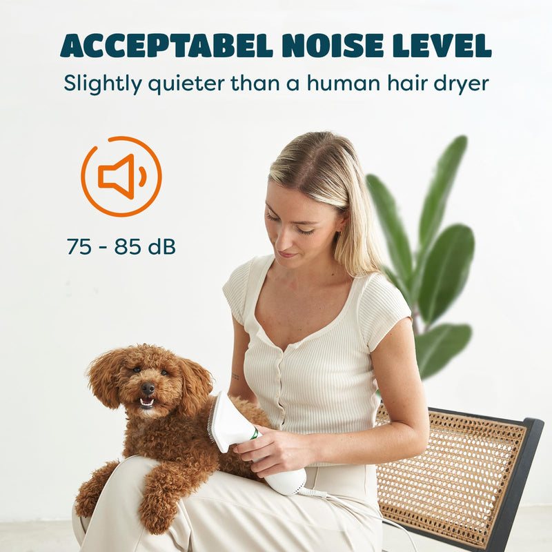 2-in-1 Dog Hair Dryer with Slicker Brush for Small-Sized Dogs and Cats | Pet Hair Dryer | Dog Blow Dryer | 300 Watts, 75-85 dB, Adjustable Temperature, Overheat Protection - BeesActive Australia