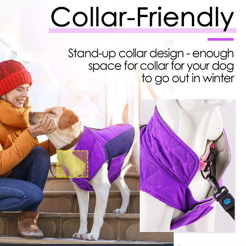 ThinkPet Dog Cold Weather Coats - Cozy Waterproof Windproof Reversible Winter Dog Jacket, Thick Padded Warm Coat Reflective Vest Clothes for Puppy Small Medium Large Dogs M(Chest 18¾-20", Back 12" ) Purple - BeesActive Australia