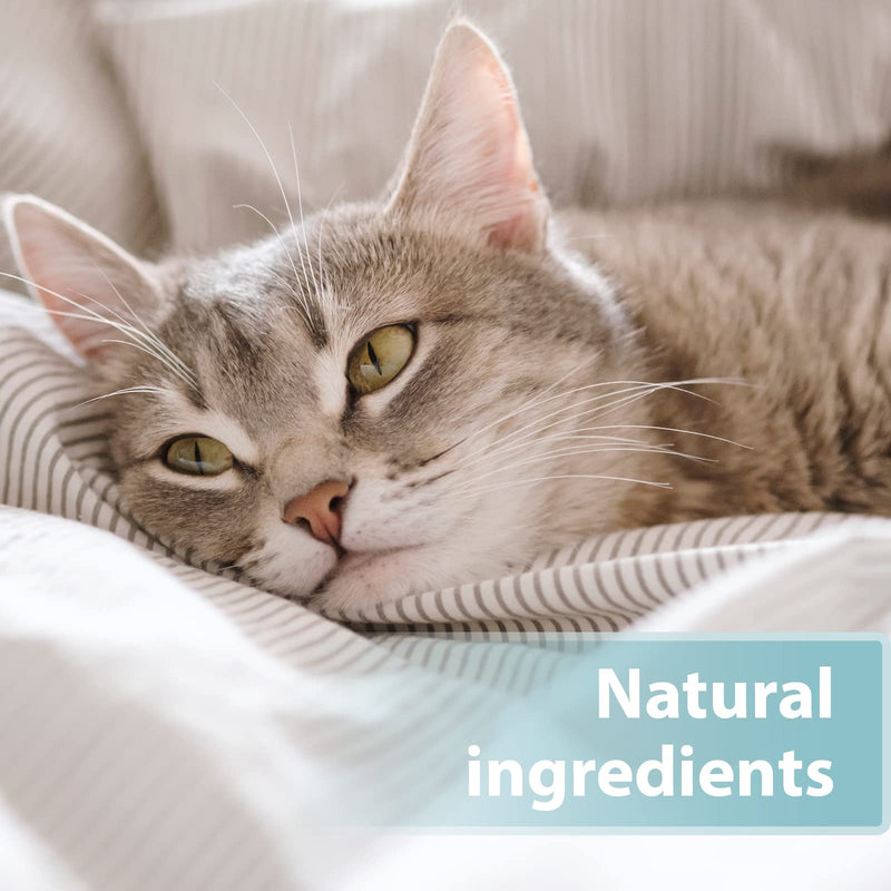 Felisept Skin Care Spray for Cats 250ml - Mite treatment for cats - Cat itchy skin relief - Cat dandruff treatment - Itching spray cat - Itch relief for cats - Skin care spray cats - Mild care Skin Care Spray 250ml