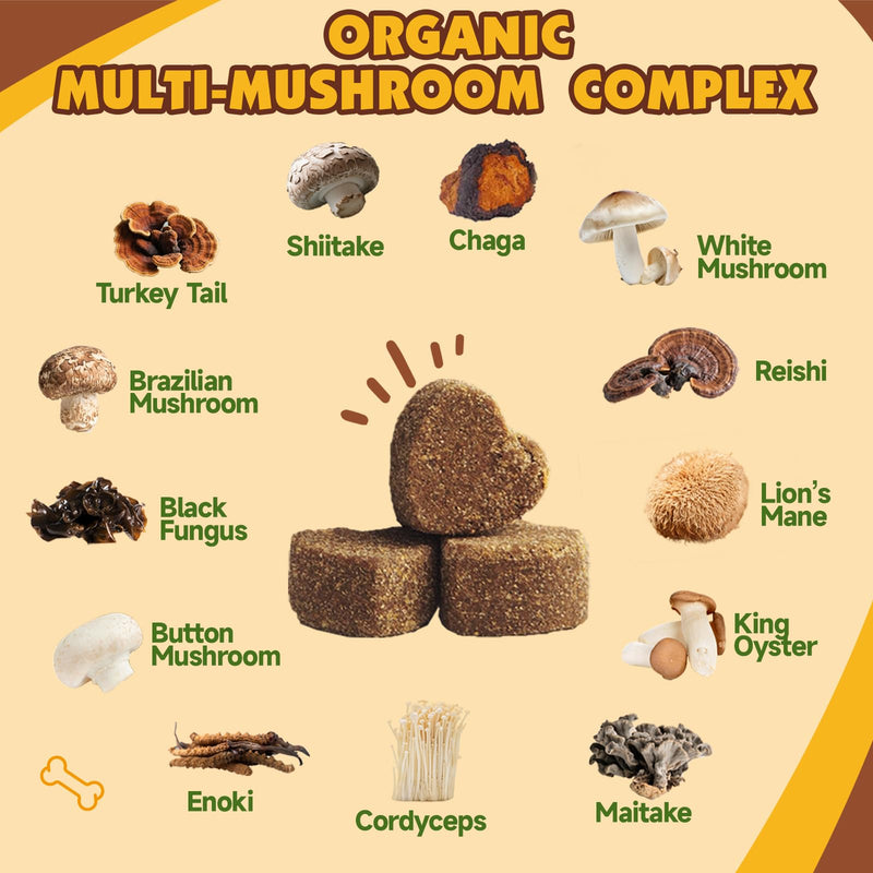 Mushroom Chews for Dogs & L-Lysine Paste for Cats