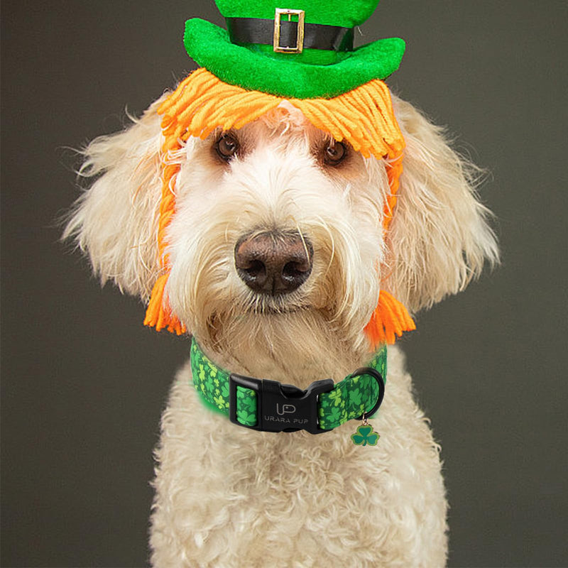 St. Patrick's Day Dog Collar, Lucky Clover Pet Collar with Quick Release, Comfortable Adjustable Shamrock Puppy Collar for Small Medium & Large Dogs XS BicolorShamrock CC - BeesActive Australia