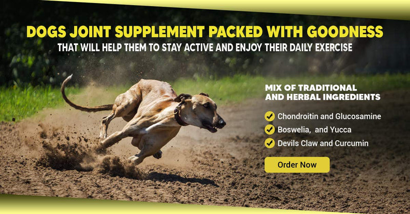 DR DOG Joint Supplement - 90 Cold Pressed Soft Chew Dogs Joint Supplements - Hip & Joint Care for Dogs – Bacon Flavoured Dog Joint Care Chews – Chondroitin - Glucosamine for Dogs –Vet Grade-Made in UK