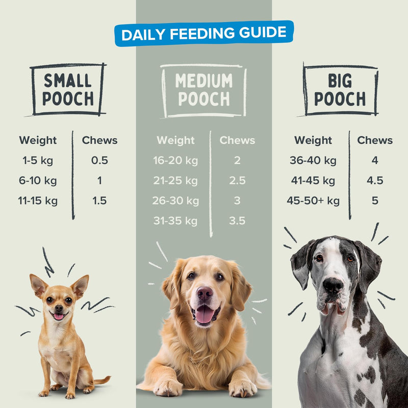 Skin & Coat Soft Chew Dog Supplements – Daily Care for Healthy Skin & Coat with L-Methionine, Zinc, Biotin & Spirulina and Omega 3 EPA & DHA – 60 Soft Chews 60 Chews