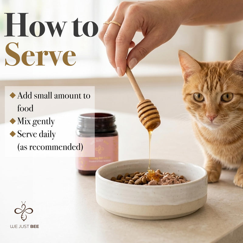 Manuka Honey for Cats MGO 400+ | Feline Wellness Cat Treat – Premium New Zealand Manuka Honey | Medical Grade Support for Cat Wound Care, Skin & Immunity Health – 250g / 8.8oz