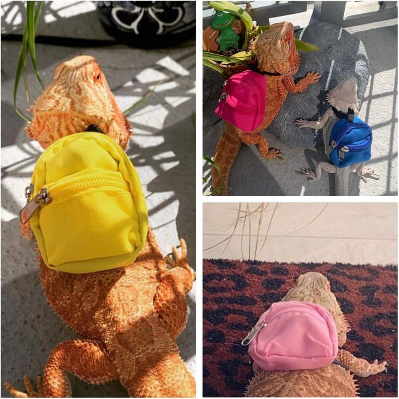 Bearded Dragons Harness Leashes Set Cute Backpack Back to School Design for Small Pets Reptile Lizard Crested Gecko Chameleon Rat Hamster Squrriel Ferret Photo Shoot (Green) Green - BeesActive Australia