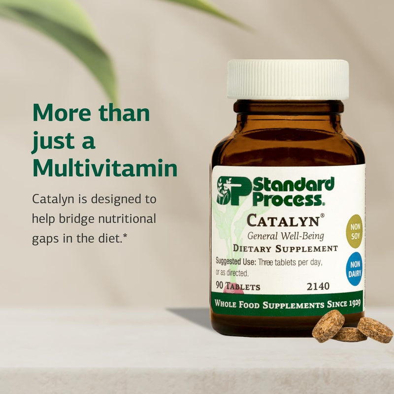 Standard Process Catalyn - General Well-Being Tablet to Aid Antioxidant Activity - Contains Vitamins A, B6 & D - Designed to Bridge Nutritional Gaps - Non-Dairy & Non-Soy - 90 Tablets (30 Servings) Regular 90 Count (Pack of 1)