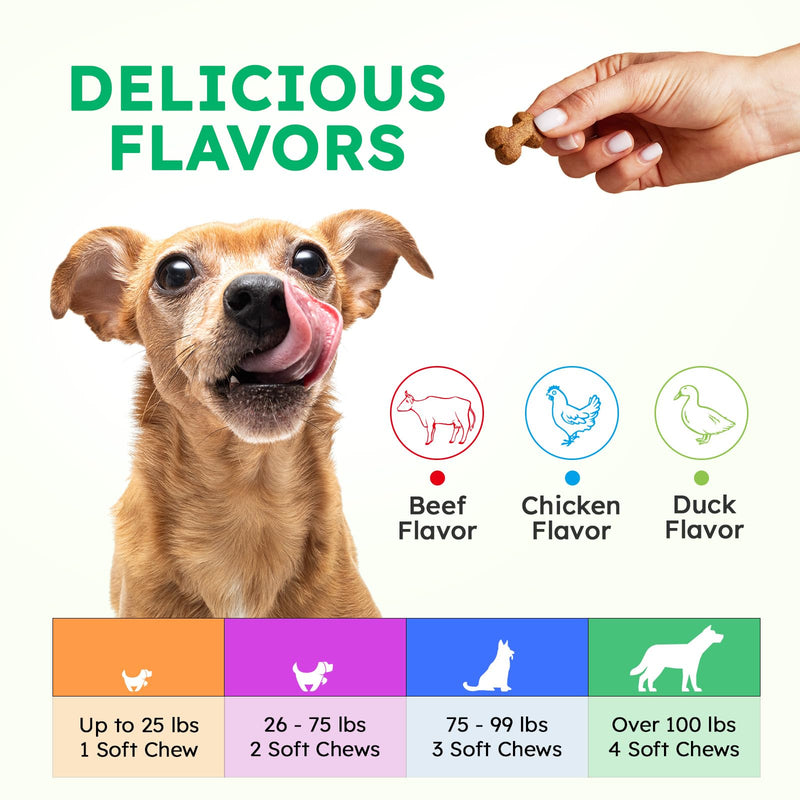 Dog Vitamins and Supplements - 150 Dog Multivitamin Chewable - Immune, Joint Support, Skin, Gut Health + Packed with Omega 3s, Glucosamine & Probiotics - Safe for Puppy - Chicken