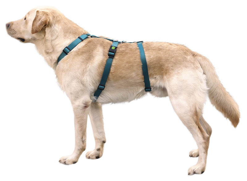 Kerbl 80041 Miami panic harness, escape-proof, petrol, 38-52cm 42 - 55 cm - BeesActive Australia