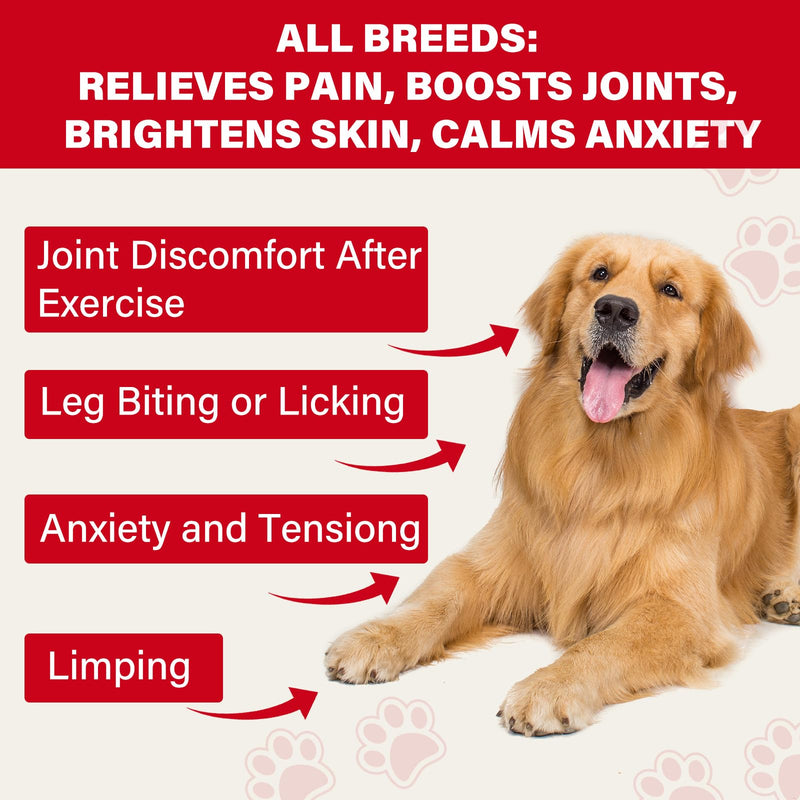 Natural Dog Pain Relief Balm with DMSO, Magnesium & Castor Oil – Supports Joint Mobility & Reduces Swelling & Discomfort, Dog Pain Relief Anti-Inflammatory Support - 60 g