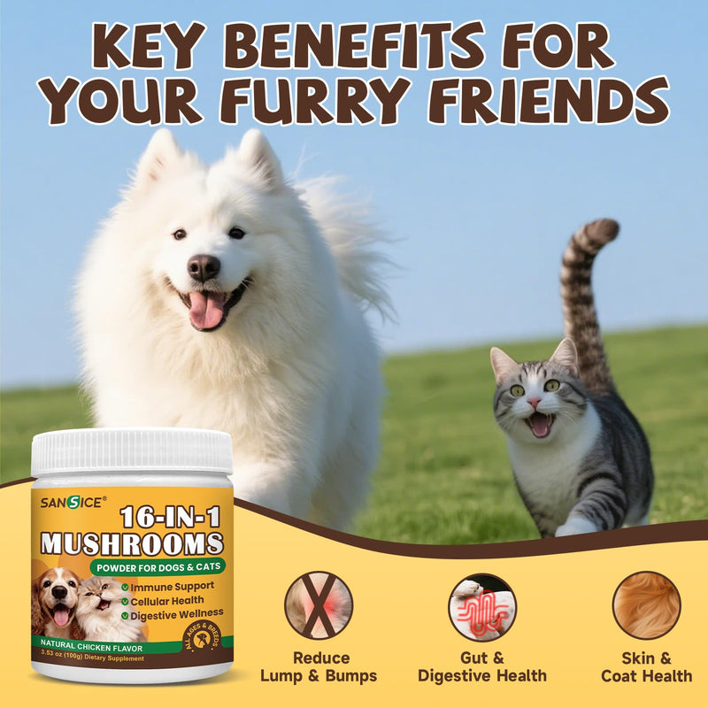 Mushroom for Dogs & Cats Lumps & Bumps, Turkey Tail Mushroom for Dog with MSM for Joint Health, 16 in 1 Dog Mushroom Powder with Reishi, Lion’s Mane-Immune, Cognitive, Digestive, Liver Health & Skin