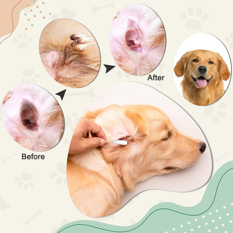 200-Pack of Long, Large Dog Ear Swabs with Bamboo Sticks: Perfect for Dog Ear Cleaning and Infection Treatment. Gentle, Effective, and Eco - Friendly for Pet Hygiene Large Tips 200PCS