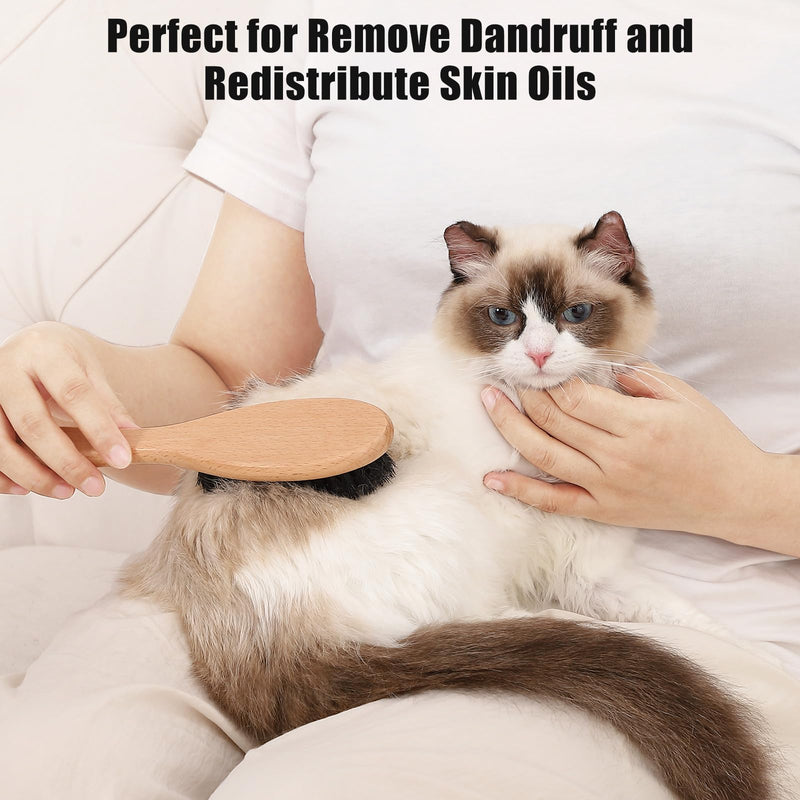 Boar Bristle Cat Brush with Wooden Handle, Soft and Gentle, Reduce Shedding, Make Coat Soft, Smooth and Shinny, Daily Grooming Tool for Short Haired Cats, Kitten Wood - BeesActive Australia