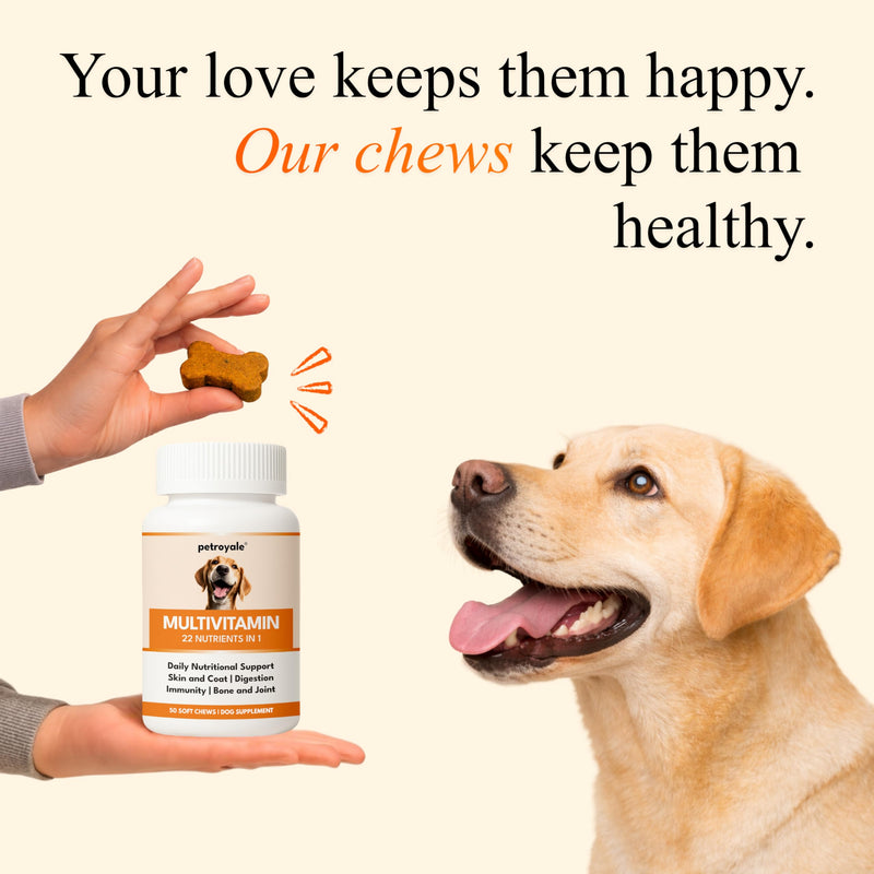 22 in 1 Dog Multivitamin Chews - Taurine Dog Multivitamin & Taurine Supplements for Dog - Dog Vitamins & Supplements for Joints, Skin, Coat & Immunity - Daily Multivitamin (50 Soft Chews) 50 Soft Chews