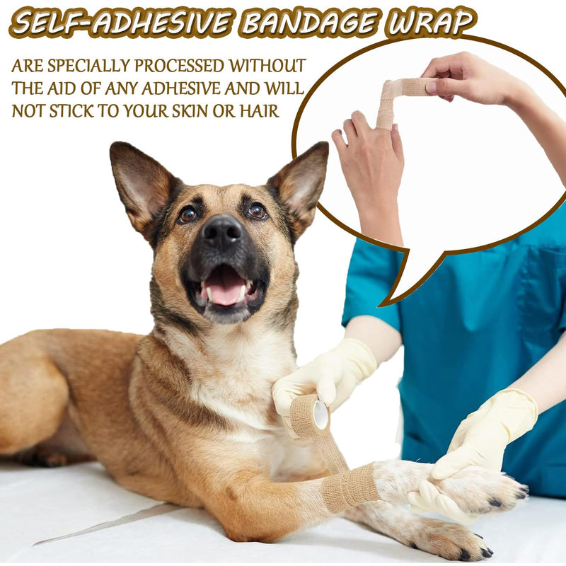 ANAMPION Self-adhesive bandage, 12 rolls, 2.5 cm x 4.5 m, plaster roll, bandage material, elastic bandage, fixing bandage, adhesive bandage, self-adhesive for sports, wrist vet wrap (colour). - BeesActive Australia
