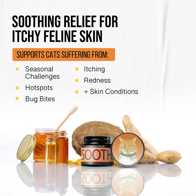 Soothe Salve for Cats - Natural Hemp Oil Balm for Cat Itchy Skin Relief & Comfort - New & Improved Formula with Manuka Honey, Coconut Oil & Herbal Extracts - 1 oz