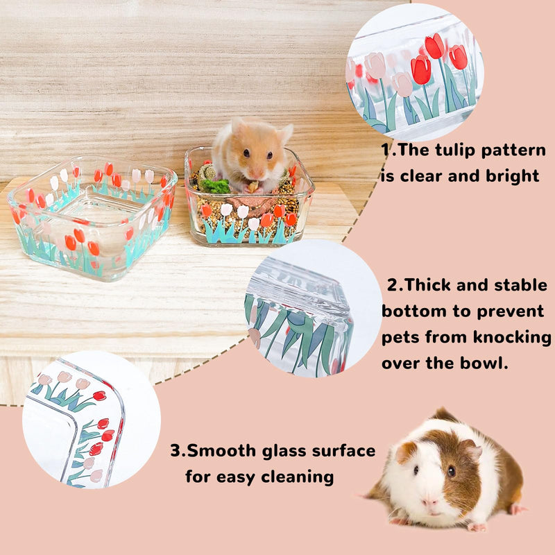 Hamster Food Bowl Glass Tulip Guinea Pig Food Dish Bowl Bunny Feeding & Water Bowls for Small Animals Syrian Hamsters Gerbil Ferret Mice Rats Rabbit Chinchilla Hedgehog (2 Pack) - BeesActive Australia