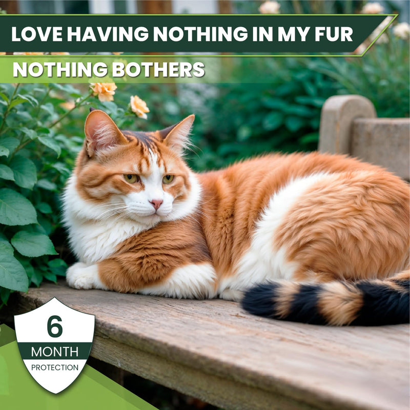Flea and Tick Prevention for Cats: Flea & Tick Topical for Cats Over 1.5lbs, 6 Dose Flea and Tick Control/Prevention for 6 Months (6 Pack) 6 Pack