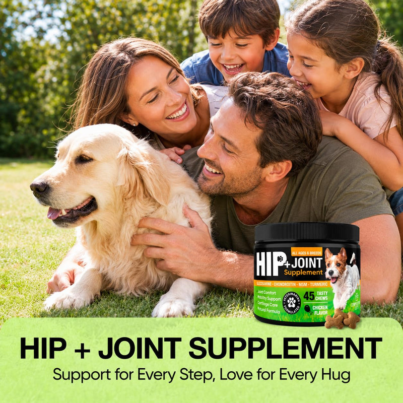Glucosamine for Dogs – Hip and Joint Supplement Chews for Small, Medium & Large Dogs – Joint Pain & Mobility Support – Soft Chews for Pain and Inflammation Relief, 45 Chews