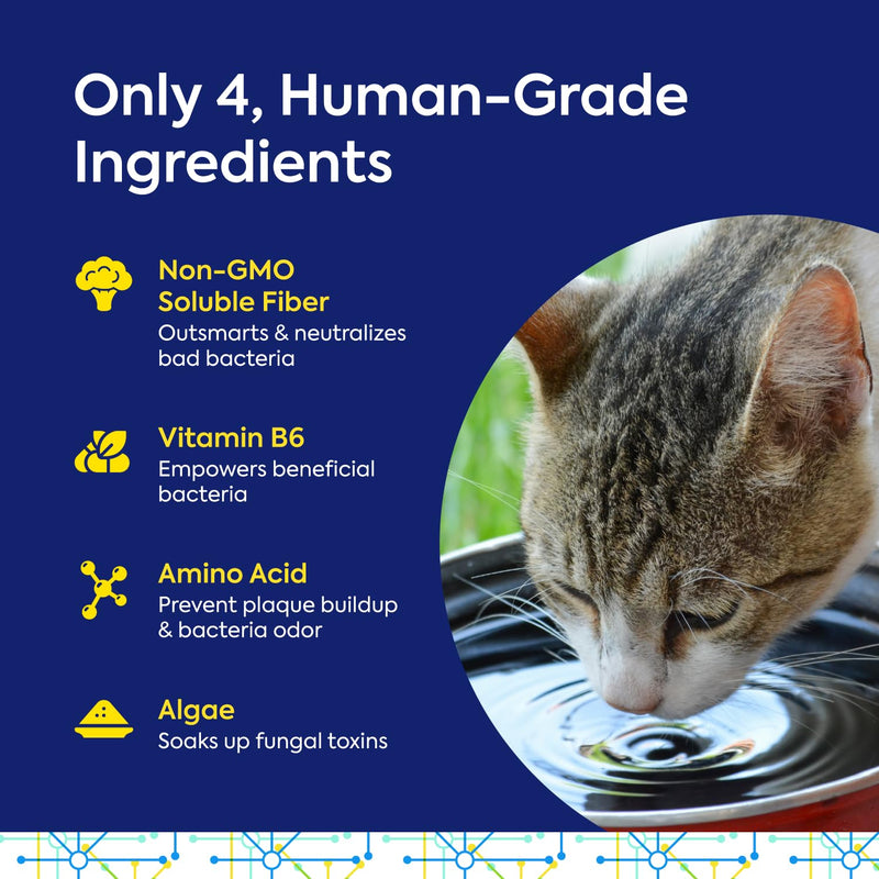 TEEF FOR LIFE Refill Packet Protektin30 Prebiotic Dental Powder for Cats, Plant-derived, clinically-Proven Formula Naturally Fights Bad Breath, Plaque, and Tartar, 1 Packet with 30 Servings Refill Packet (30 Servings)