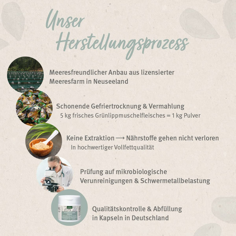 AniForte green-lipped mussel capsules for dogs, pack of 300 - green-lipped mussel dog, joint tablets with green-lipped mussel powder in full-fat quality 10.2%, for joints and agility - BeesActive Australia