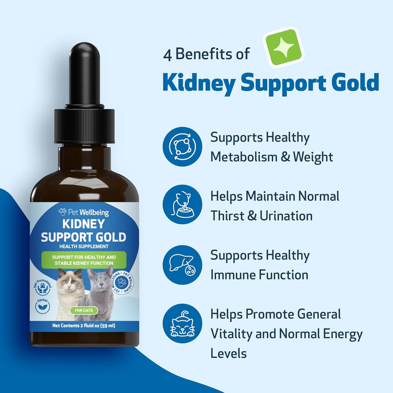 Pet Wellbeing Kidney Support Gold for Cats - Supports Healthy Kidney Function, Fluid Balance, Energy Levels, Rehmannia, Dong Quai - Veterinarian-Formulated Herbal Supplement 2 oz (59 ml) 2 Fl Oz (Pack of 1) - BeesActive Australia