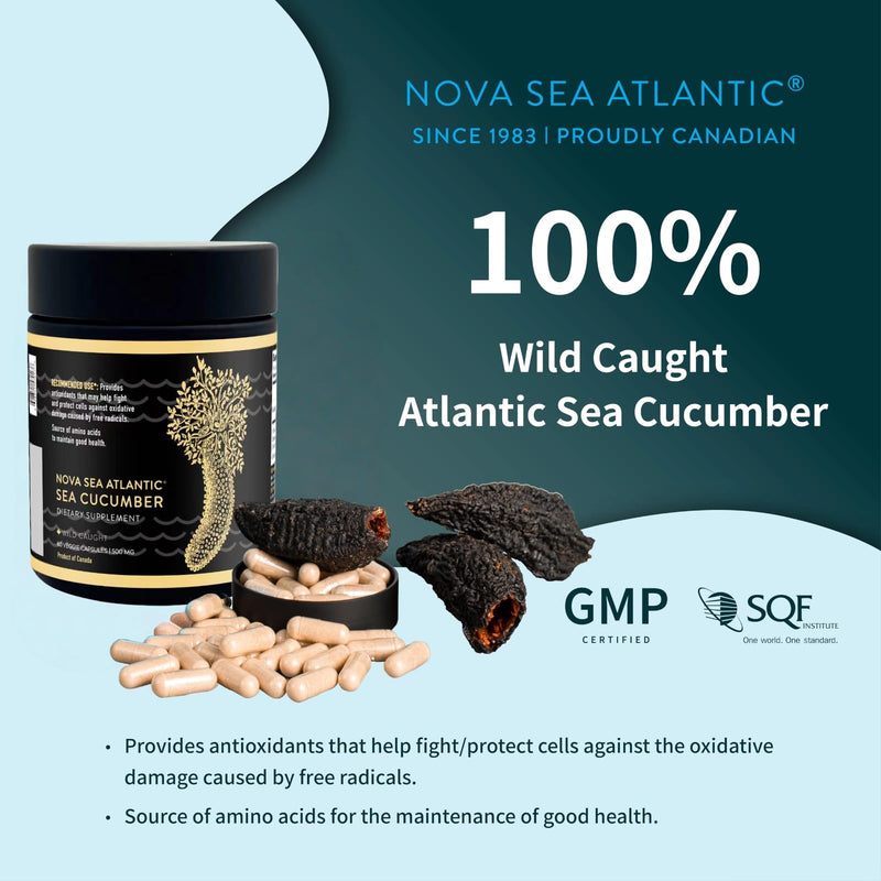 Sea Cucumber Supplement, Wild Caught Sea Cucumber Capsules with Fucosylated Vitamins Mineral — Natural Antioxidant Supplement for Elderly Adult Child 60Count(1 Pack) 60 Count (Pack of 1)