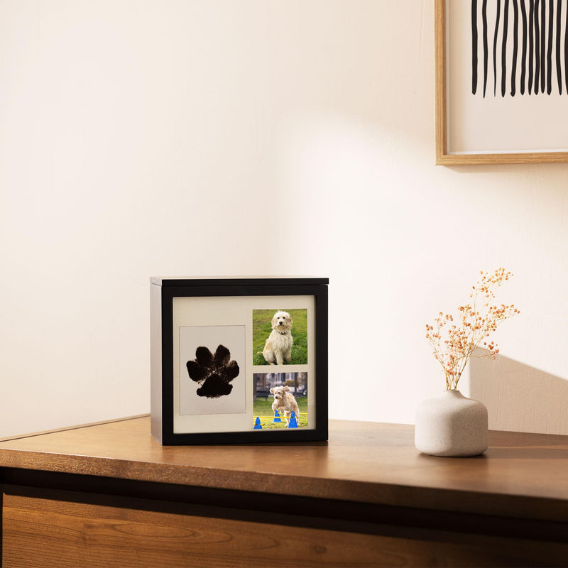 Navaris urn for dog or cat - animal urn including space for 2 photos and paw print - dog urn cat urn - animal urn for dogs - dog box in black - BeesActive Australia