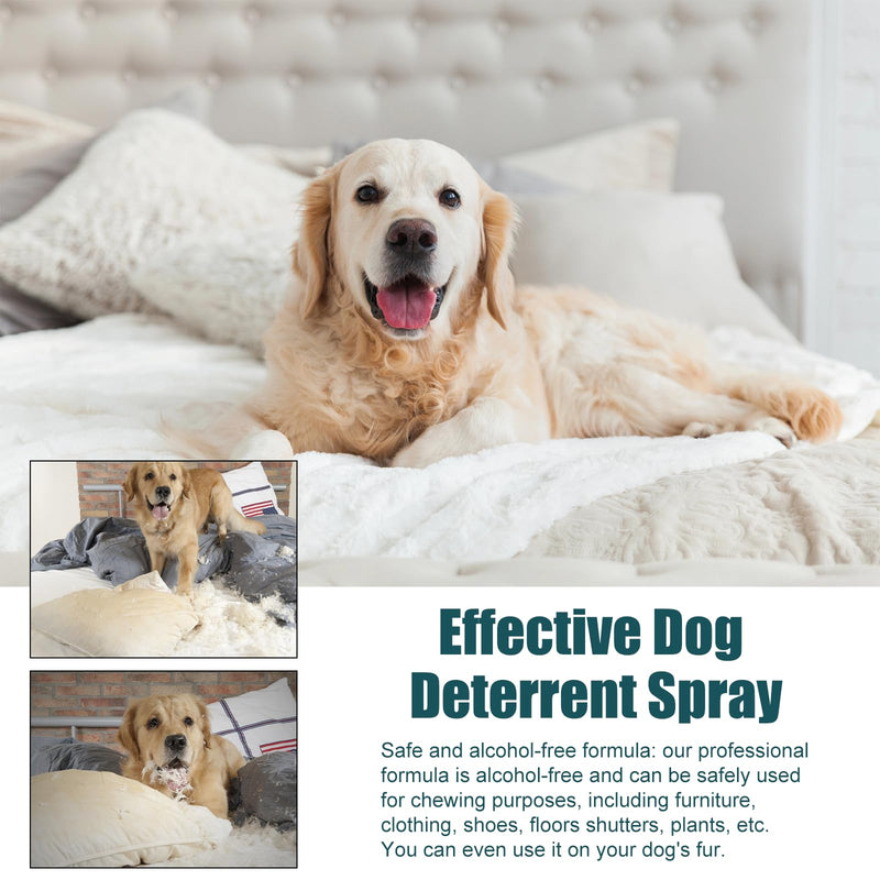 Bitter Apple Spray for Dogs to Stop Chewing, 50ML. No Chew Spray for Dogs. Effective Dog Deterrent Spray for Carpet Furniture. Anti Chew Spray for Dogs Indoor & Outdoor Use. Alcohol-Free & Non-Toxic. green - BeesActive Australia