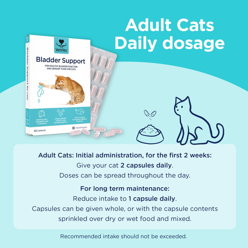 Bladder Support for Cats (60 capsules) | Urinary Health for Cats | Helps reduce indoor accidents | Bladder complex with pumkin seed, D-mannnise and cranberry