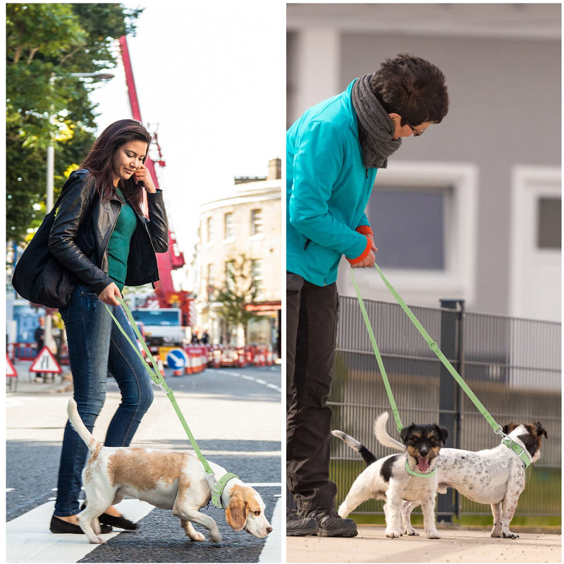 Wisedog Waterproof Standard Dog Leashes with 2 Hooks, 5 ft/ 6 ft Lengths, Adjustable for Traffic Control Safety, for Small, Medium & Large Dogs Walking (Sage Green,L) L|3/4 in × 6 ft Sage Green - BeesActive Australia