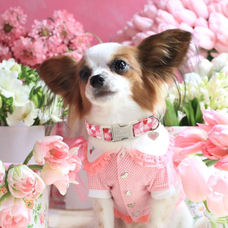Valentine Dog Collar for Medium Dogs - Design Cute Pink Valentines Day Dog Collars Boy Girl Puppy Adjustable Quick Release Buckle Collar with Little Heart Charm M Pink Heart - BeesActive Australia