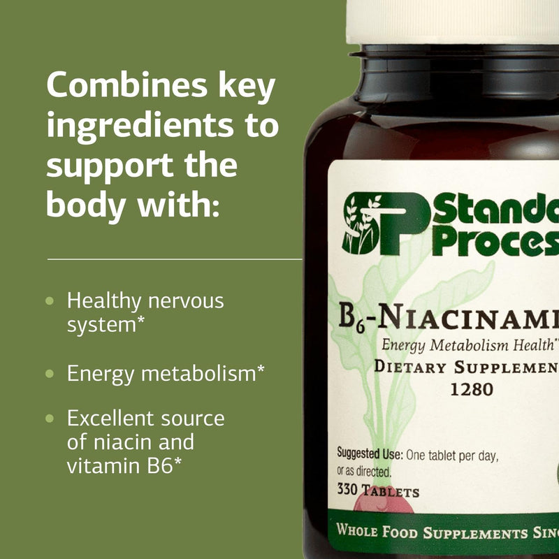 Standard Process B6-Niacinamide,Vitamins B Energy Metabolism, 330 Tablets | Energy Metabolism Health Support Supplement, Cardiovascular Support, Gluten-Free, Non-Dairy and Non-Soy 1 Count (Pack of 330)