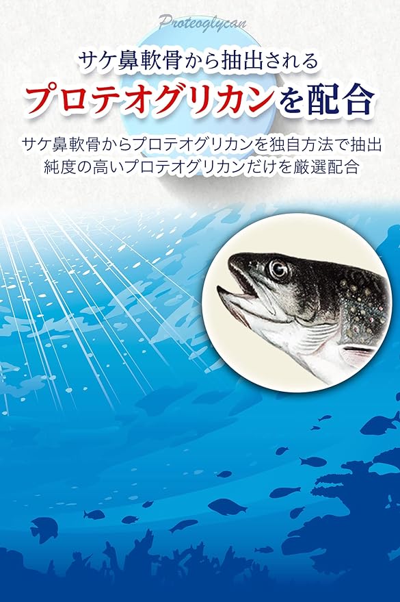 Kensaku Life Glucosamine 15000mg Chondroitin Calcium 3000mg Salmon Nasal Cartilage Extract Proteoglycan Hyaluronic Acid Supplement 120 tablets 30 days supply - BeesActive Australia