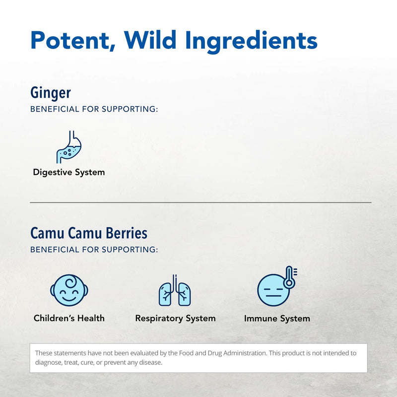 NORTH AMERICAN HERB & SPICE Inflam-eeZ - 90 Capsules - Supports Healthy Immune & Inflammatory Response - Ginger Root, Camu Camu Berries, Bromelain & Papain Plus - Non-GMO - 45 Total Servings