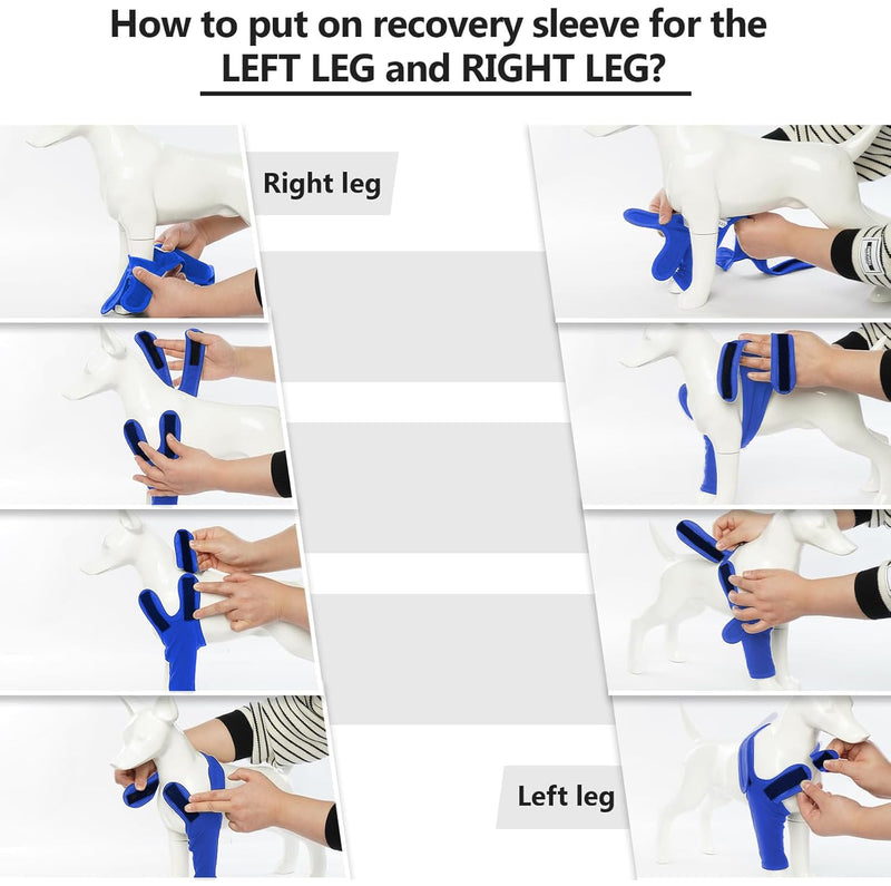Recovery Sleeve Dog, Elbow Pads for Dogs, Elbow Brace Protector, Dog Surgery Recovery Sleeves Front Right Left Leg for Hot Spots, Wounds, Bandages, Anti Licking for Dogs, Blue L - BeesActive Australia