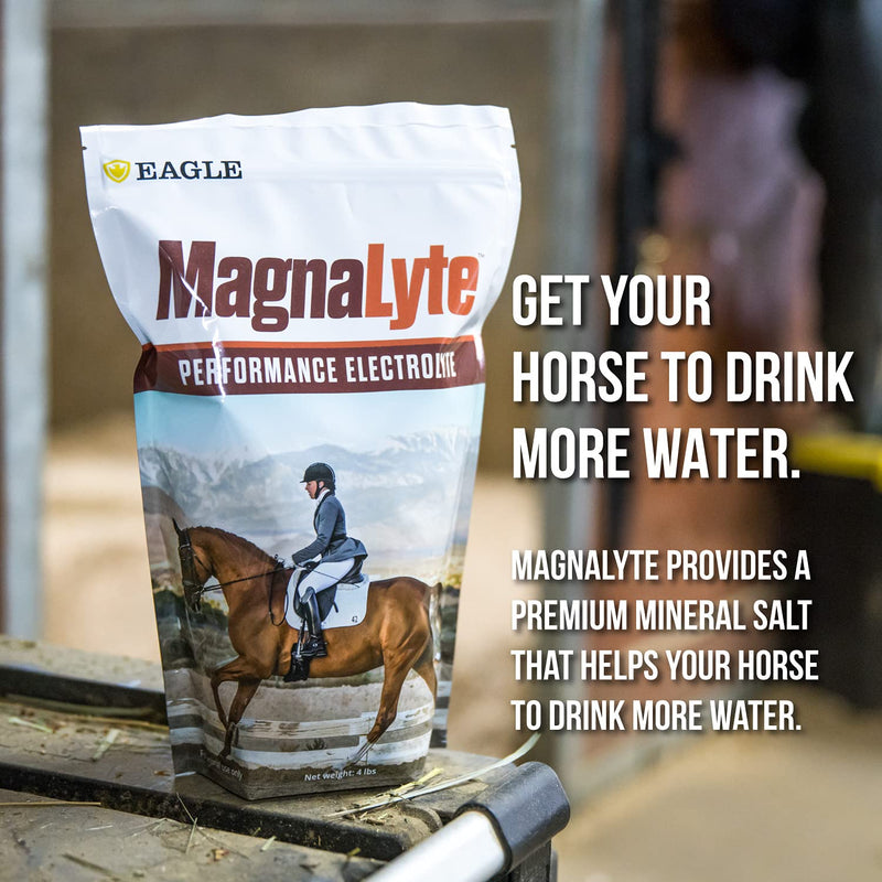 MagnaLyte Loose Salt and Electrolytes for Horses by Eagle Equine | Mineral sea Salt, Trace Minerals, Electrolytes | 4 lb Bag 4lb Bag