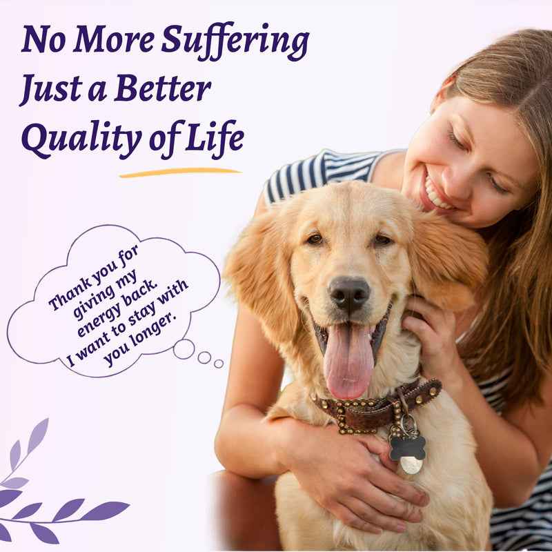 Dog Cancer Supplement 4 oz - Dog Cancer Care and Lumps & Bumps Support, 7 Organic Turkey Tail Mushroom Blend with Turmeric for Dog for Hemangiosarcoma, Hemoabdomen, Cancer & Vascular Support