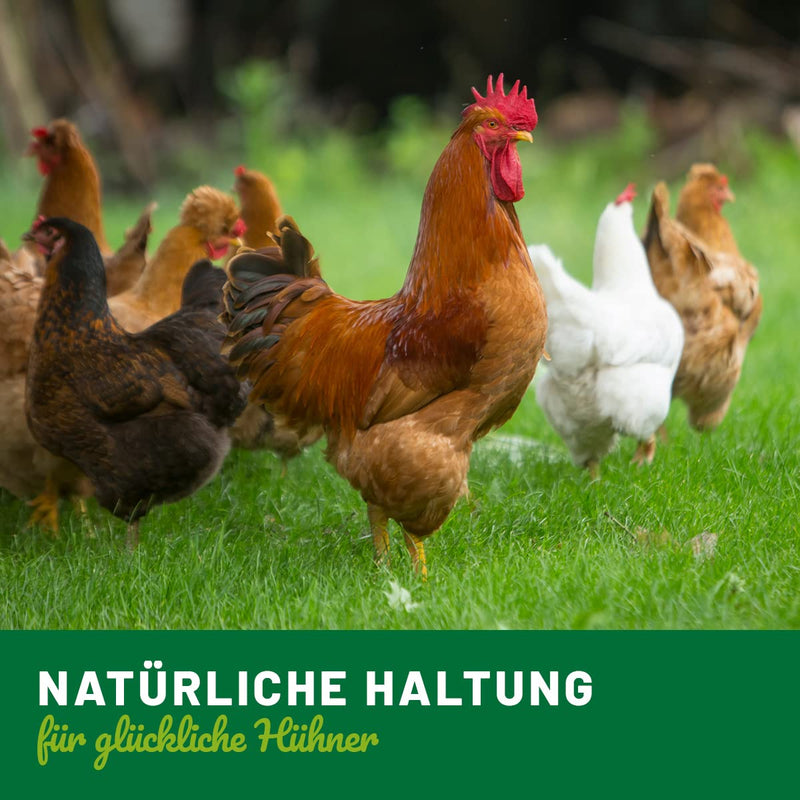 CHICKENS Land Calm Liquid - anti-stress drops for chickens, quails & poultry, sedative against stress and anxiety | natural relaxation for chickens with high acceptance, 110ml - BeesActive Australia