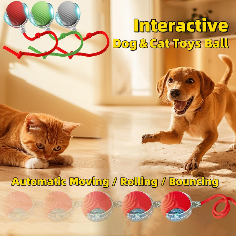 Interactive Dog Cat Toys Ball, Electric Rolling Ball Dog Toy, Automatic Moving Bouncing Toy Ball with Lights, Dog Toys to Keep Them Busy, Peppy Pet Ball for Bored Indoor Cats & Dogs (Red) Red - BeesActive Australia