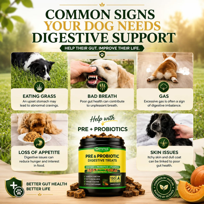 Probiotics for Dogs, 150 Chews, Digestive Support, Gut Health, Diarrhea & Itchy Skin Relief, Pre & Probiotic Digestive Treats for Dogs, Enzymes, Allergy Support, All Breeds Duck Flavour