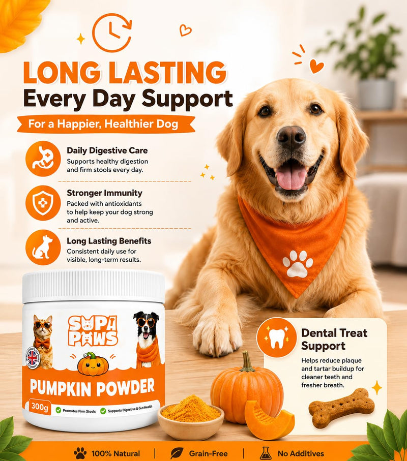 300g Pumpkin Powder for Dogs & Cats, 100% Pure Pumpkin Powder Dog Food Topper, Digestive Supplement, Naturally Rich in Prebiotics & Fibre for Dogs Gut Health & Healthy Stools 300g - Pumpkin Powder