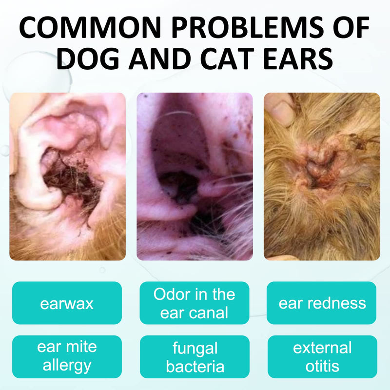 JSBNQRMZ Ear Cleaner for Dogs & Cats 50ml, Extra Strong Dog Ear Cleaner for Inflammation & Infections-Anti-FUNGAL Removal of Ear Powder for Pets, Ear Odor in Pets - BeesActive Australia