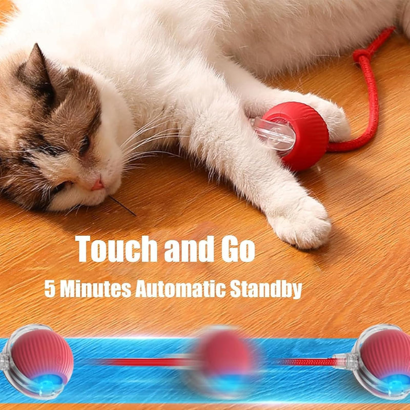 Interactive Cat Toys Rolling Ball, Chewie Viral Rolling Ball, Electric Dog Ball Toy, 360° Smart Automatic Cat Ball Toys for Bored Indoor Cats, Suitable for Large and Small Dogs and Cats - BeesActive Australia