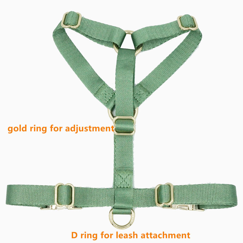 Nylon No Pull Dog Harness with Gold Metal Buckles,Easy Walking and Training Dog Harness (Sage Green, L) Sage green - BeesActive Australia