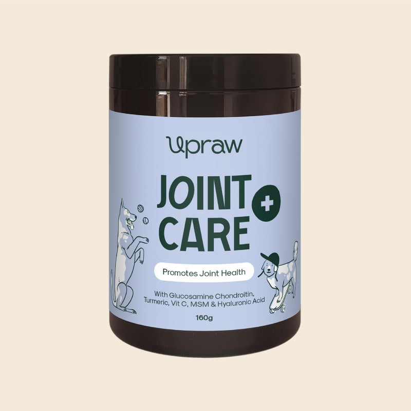 Joint Care for Dogs 160 g - Natural Joint Support Powder with Glucosamine Chondroitin MSM Turmeric and Hyaluronic Acid Supports Mobility
