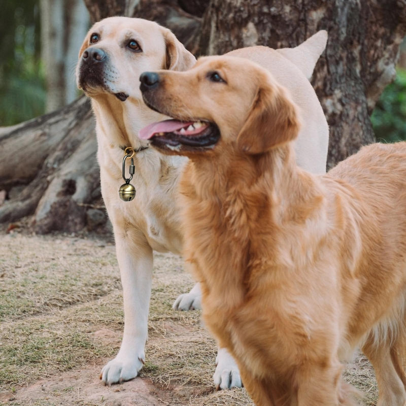 2 Extra Loud Dog and Cat Bells, Copper Collar Bell with Quick Link for Pet Tracking - BeesActive Australia